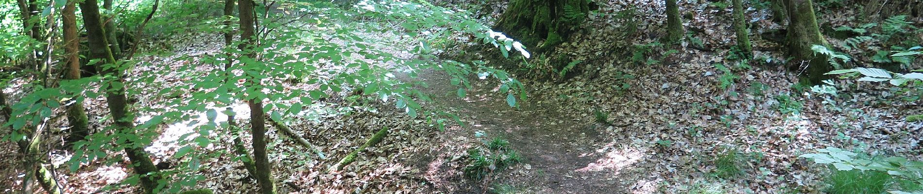 Percorso A piedi Hofheim in Unterfranken - Rundwanderweg Reh - Photo