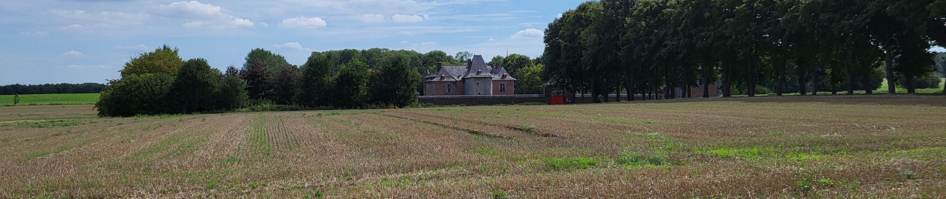 Randonnée Marche Fernelmont - Noville les Bois 220823 - Photo