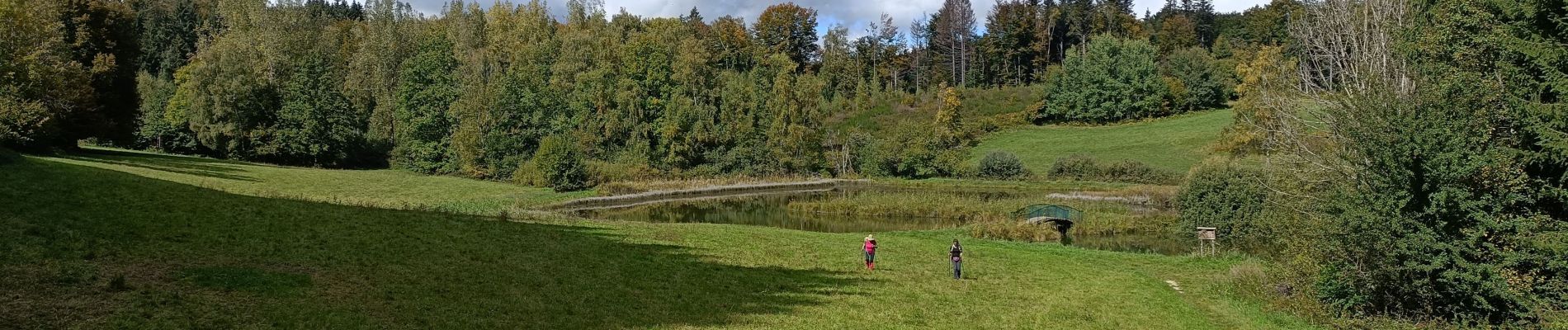 Randonnée Marche Merlas - Merlas boucle par le lac de St Sixt et étang des chartreux  - Photo