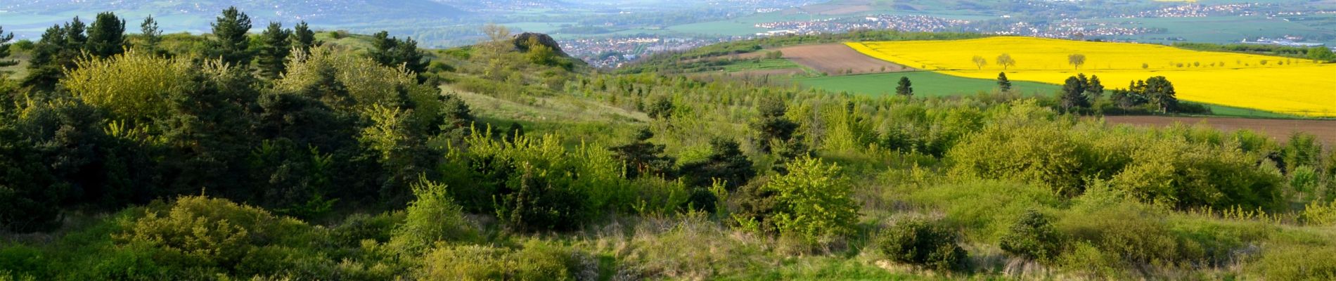 Randonnée Marche Cournon-d'Auvergne - Cournon_Bane_Anzelle - Photo