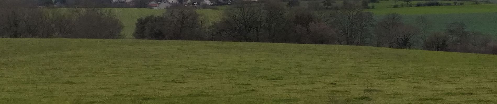 Trail Walking Boult - Boult - Photo