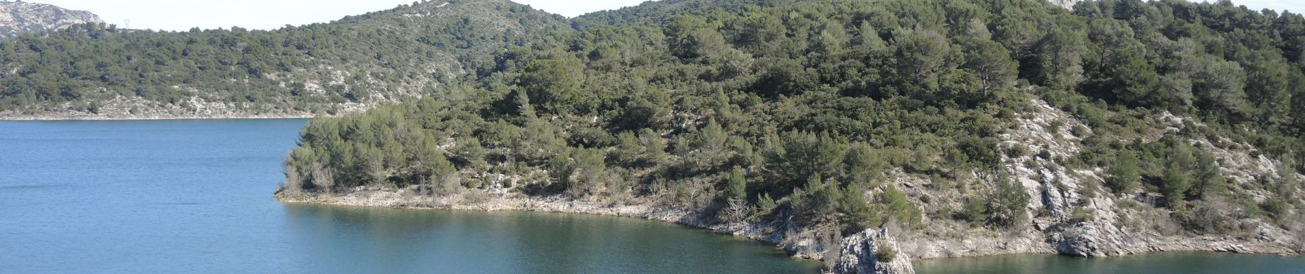 Tour Wandern Le Tholonet - Circuit des barrages au Tholonet - Photo