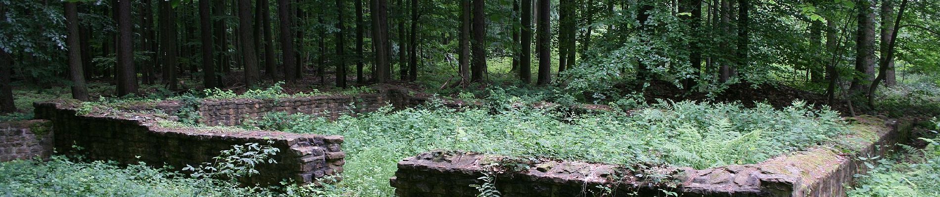 Tour Zu Fuß Groß-Umstadt - Rundwanderweg Breuberg 1 : - Photo