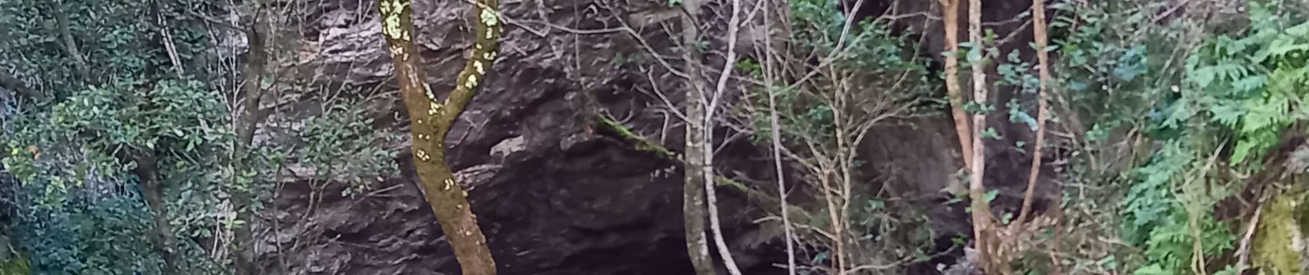 Tocht Stappen Méjannes-le-Clap - Dent du Serret - Photo