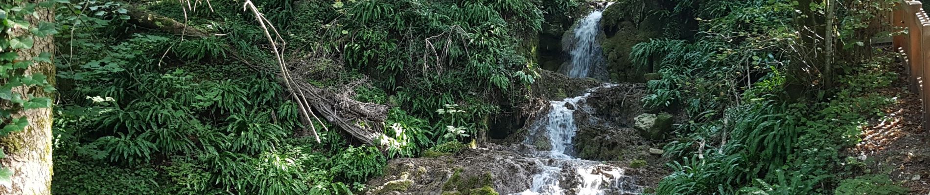 Trail Walking Serrières-en-Chautagne - Le sentier du Châtaigner - Photo