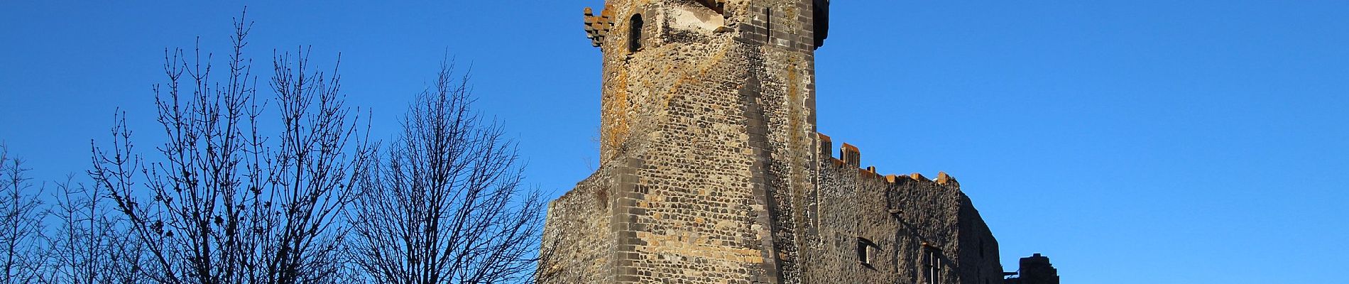 Tour Zu Fuß Volvic - Tournoel - Photo