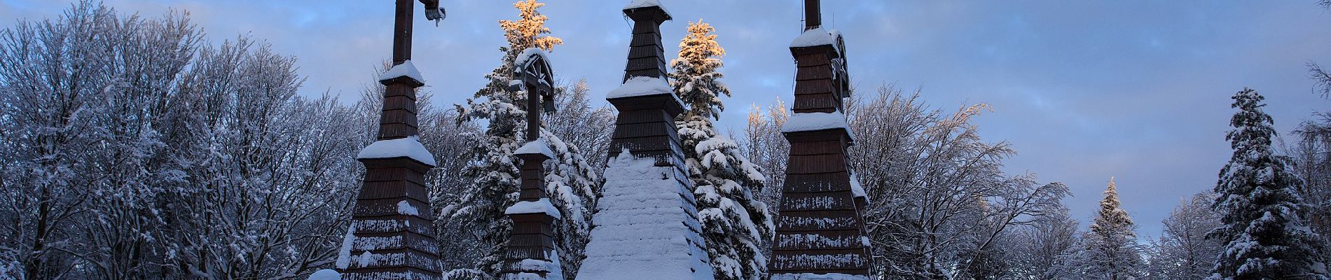 Tour Zu Fuß Zdynia - Regietów - Ług - Photo