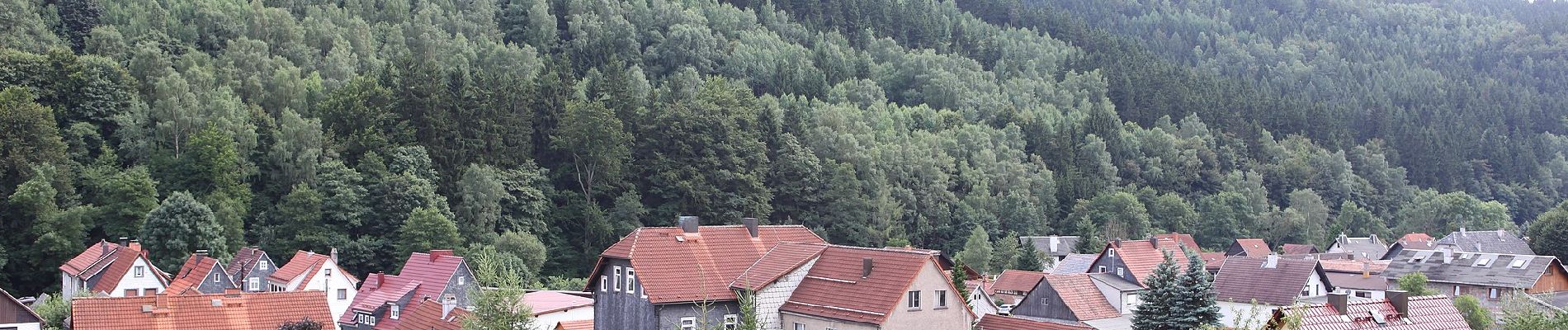 Randonnée A pied Schleusegrund - Rundwanderweg Frankenblick - Photo