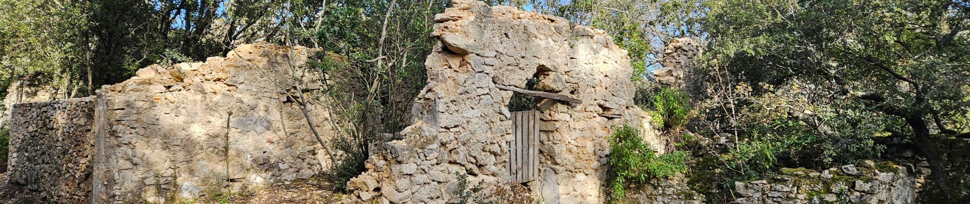 Tour Wandern Méounes-lès-Montrieux - Gouffre de Signoret - Méounes - Photo