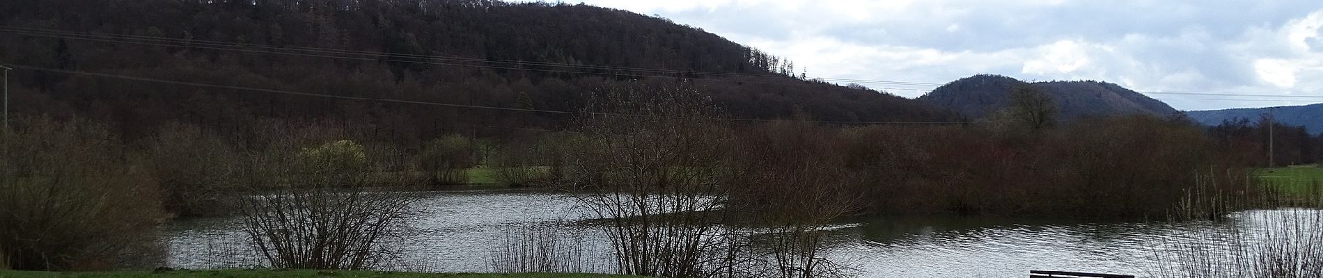 Tour Zu Fuß Dietfurt an der Altmühl - QiGong-Weg - Photo