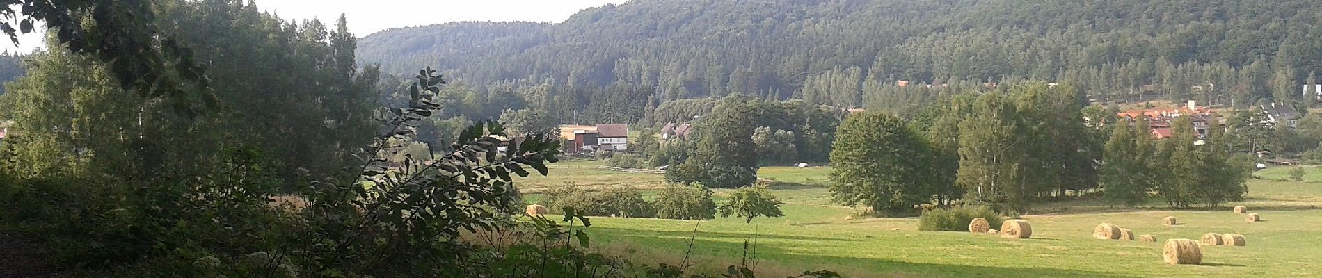 Tocht Te voet Karłów - Ścieżka Skalnej Rzeźby - Photo