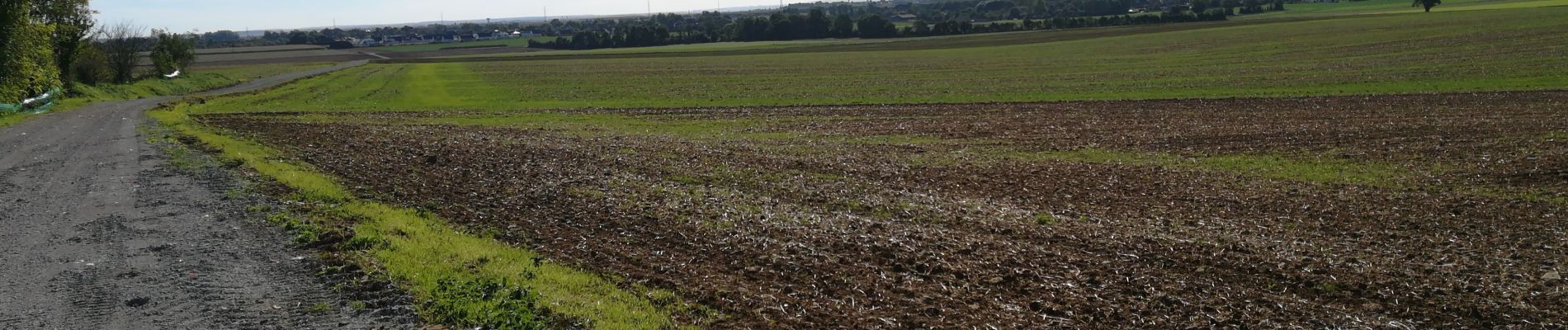 Percorso Mountainbike Caen - boucle canal & campagne  - Photo