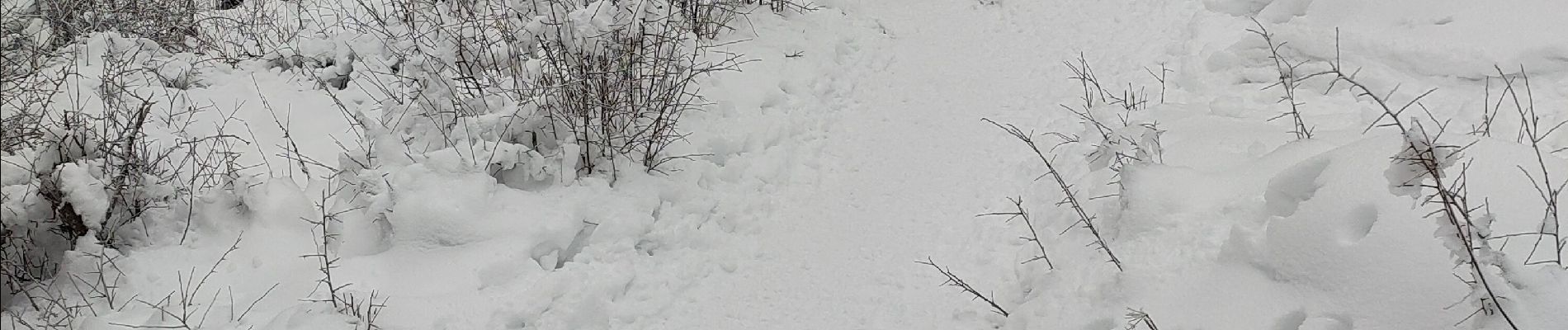 Excursión Raquetas de nieve Villard-de-Lans - de l'eau - Photo