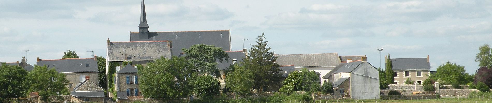 Excursión A pie Lavau-sur-Loire - Sentier du Syl au Trou Bleu - Photo