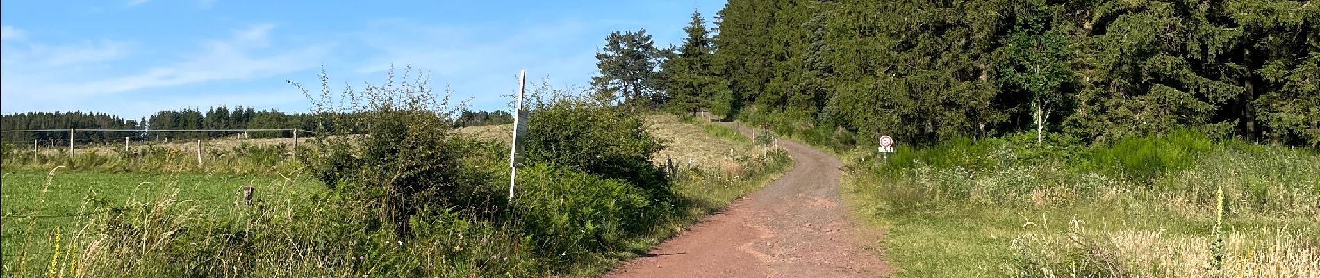 Tocht  Saint-Genès-Champanelle - Promenade à côté Puy de Dôme - Photo