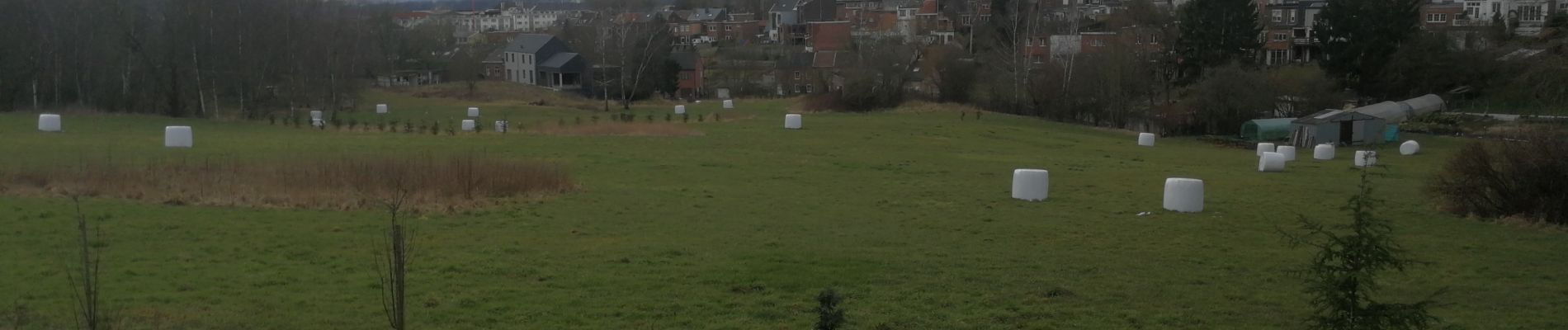 Tocht Wegfiets Luik - Vélo de Grivegnée à Vaux - Photo