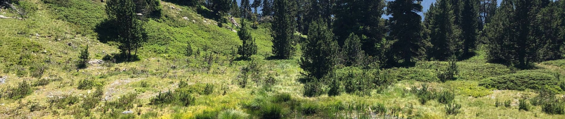 Tour Wandern Chamrousse - Chamrousse 20-07-2021 - Photo