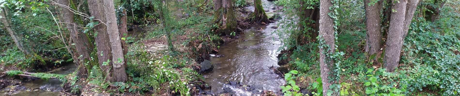 Tocht Mountainbike Saint-Sulpice-le-Guérétois - Monts de Guéret n 22 - Photo