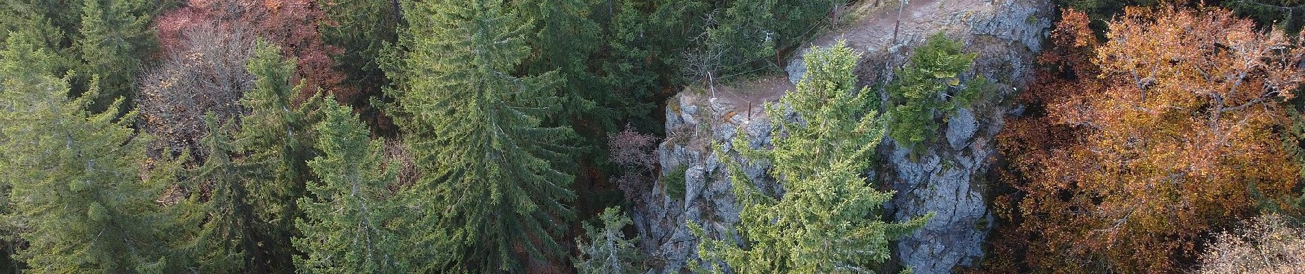 Randonnée A pied Geratal - Rundwanderweg Lütsche-Flößgraben - Photo