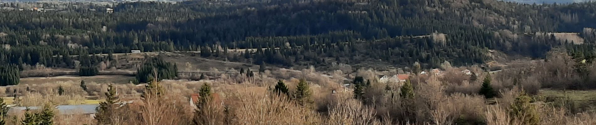 Tocht Stappen La Chaux-du-Dombief - Chaux du Dombief - sentier des cairns 20221219 - Photo