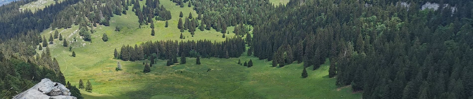 Tour Wandern Les Rousses - 2020-07-12_16h23m17_2 PED - MONTS & COMTE Les Rousse - Chalet de la Dole par La Cure - Photo