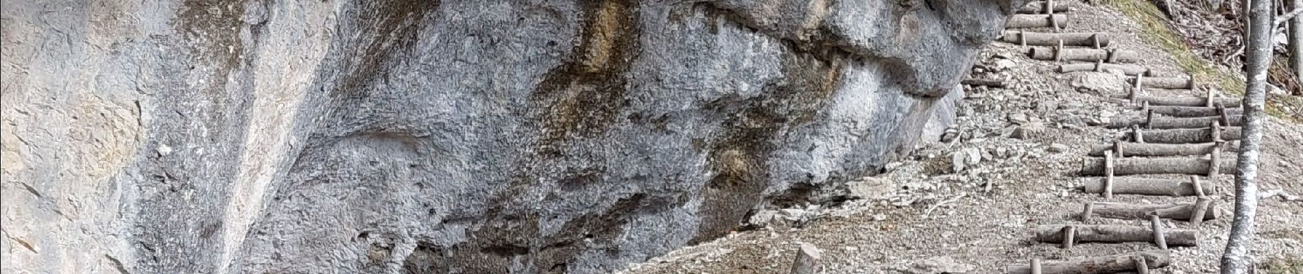 Excursión Raquetas de nieve Puygros - Pic de Sauge - Photo