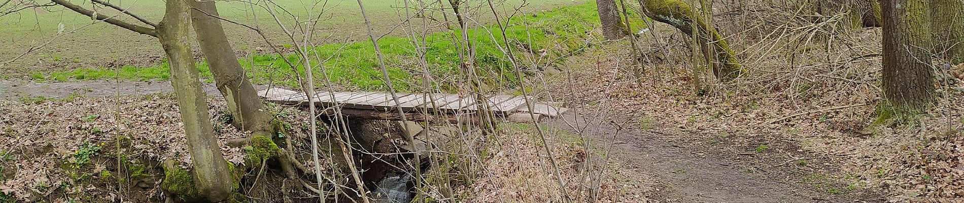 Randonnée A pied Krmelín - Obec Krmelín - vnitřní okruh - Photo