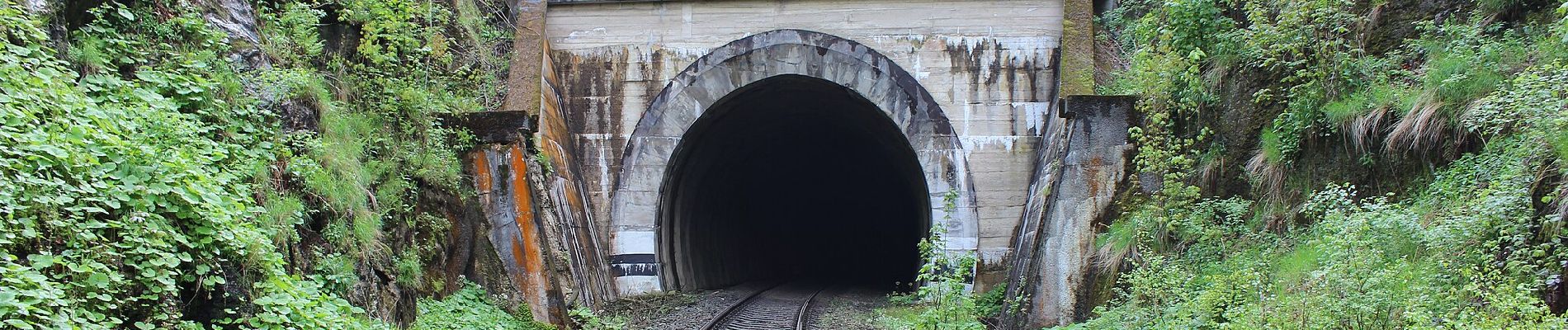 Percorso A piedi Hejnice - NS Viničná cesta - Photo