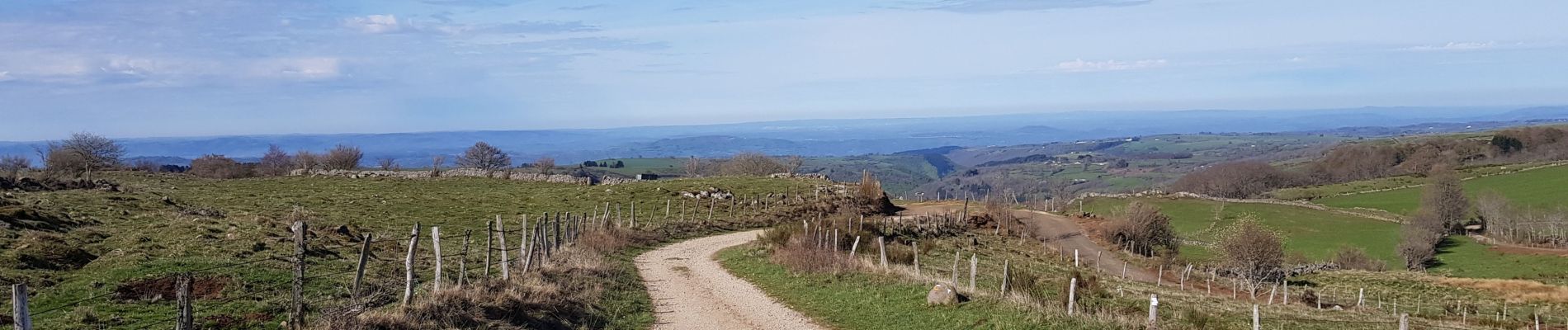 Trail Walking Saint-Chély-d'Aubrac - Aubrac st Come d'olt st Jacques  - Photo