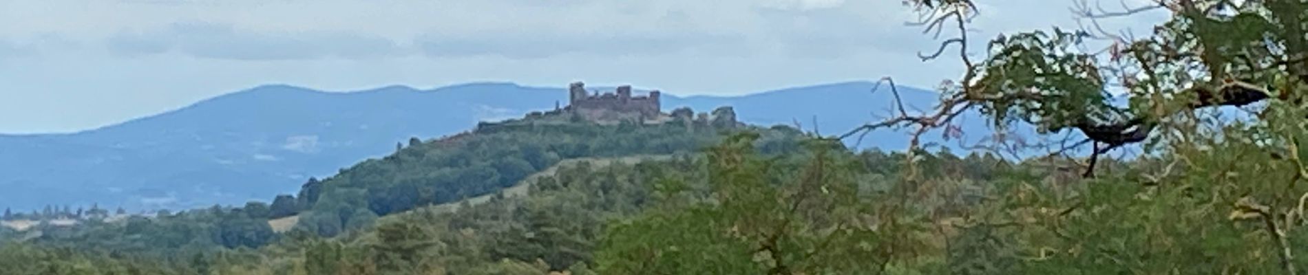 Trail Walking Égliseneuve-près-Billom - Château de Montmorin - Photo