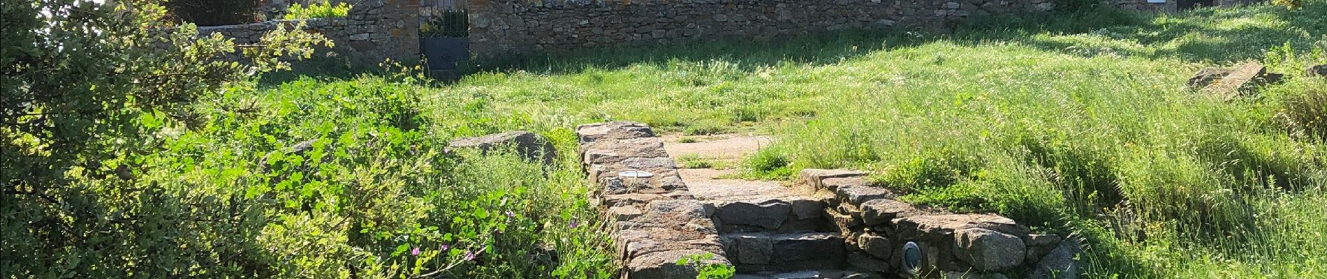 Tocht Stappen Arboussols - Marcevol - Photo