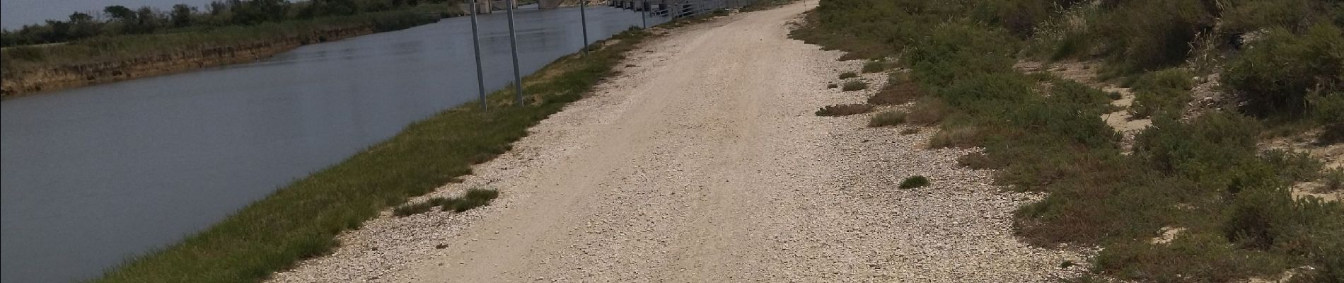 Tour Rennrad Le Grau-du-Roi - Pérols Lunel a.morte grau vélo 18.06.23 - Photo