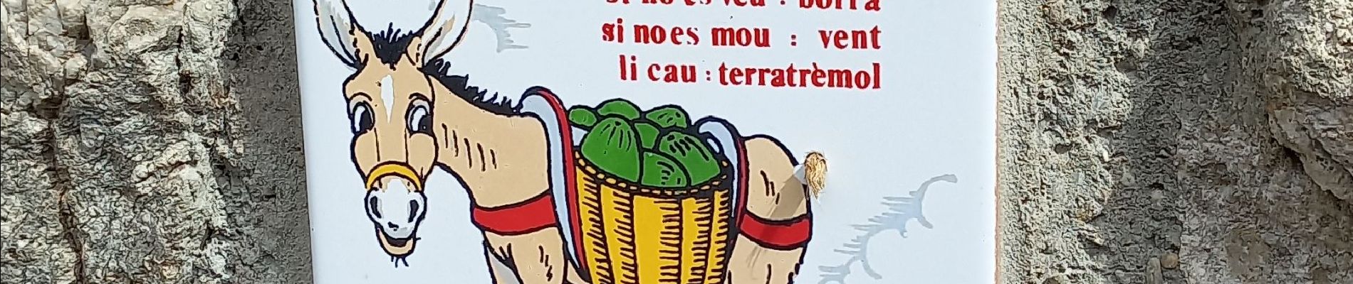 Excursión Senderismo Sahorre - Thorrent - Py et le Rec de Thorrent - Photo