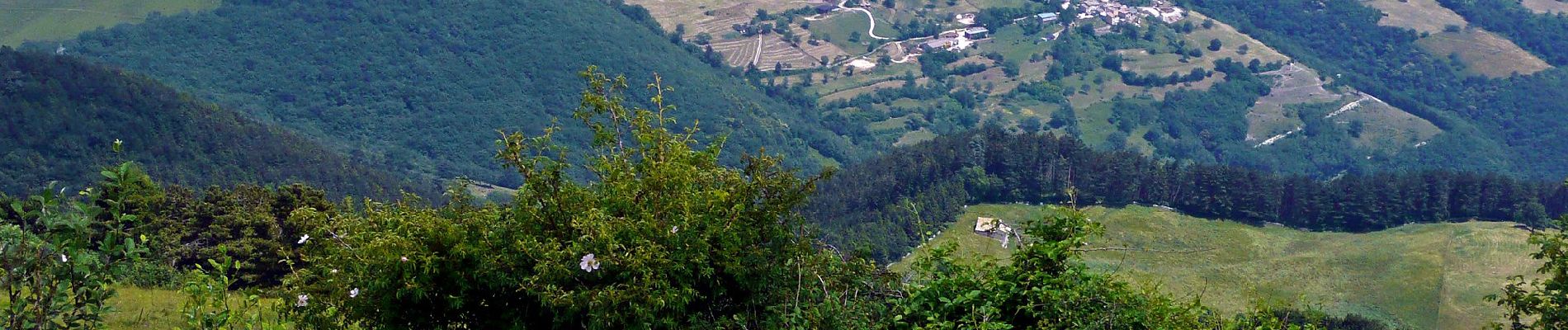 Percorso A piedi Brenzone sul Garda - Castelletto di Brenzone - Prada - Bocchetta di Naole - Photo