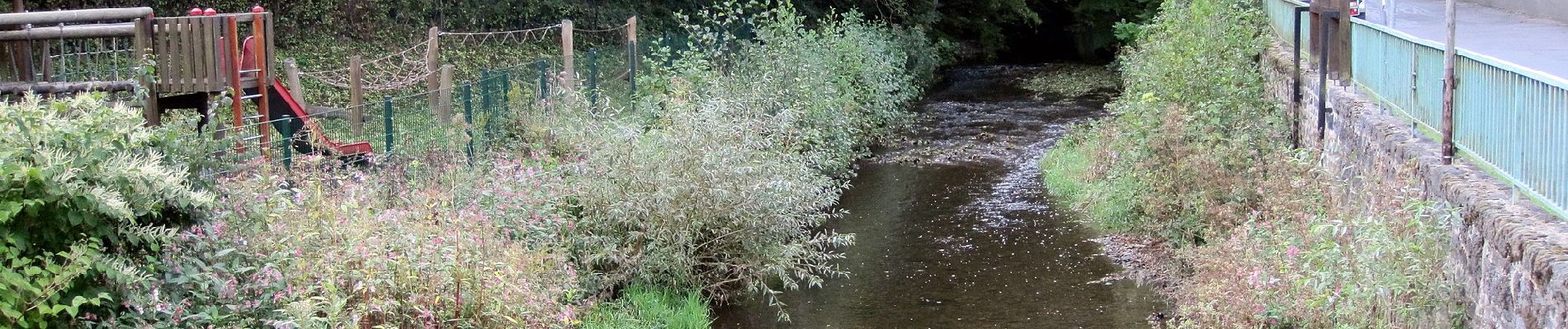 Randonnée A pied Mayen - Eifel-Traumpfad Förstersteig - Photo