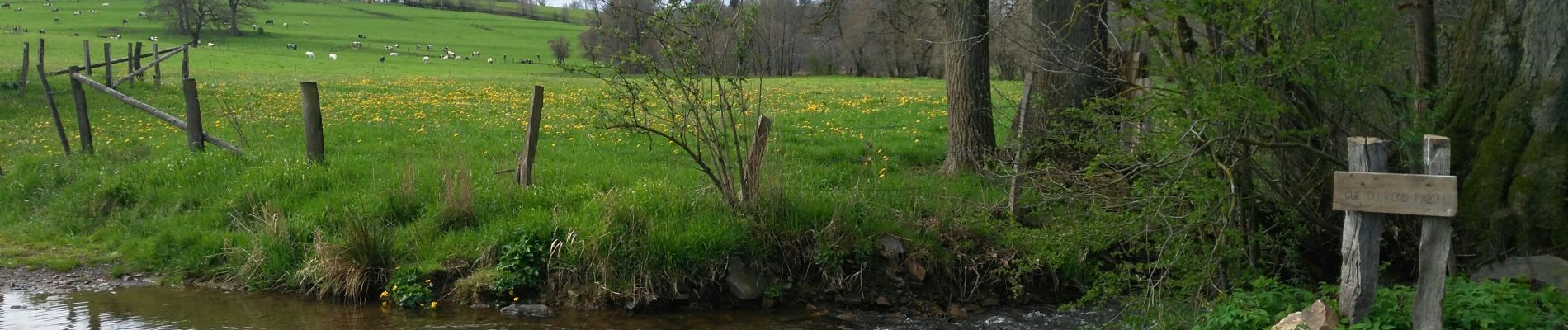 Tour Wandern Geilich - Bovigny 