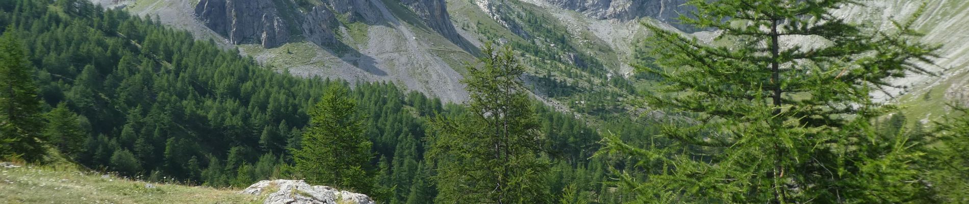 Tocht Stappen Acceglio - ponte maira lac apzoi - Photo