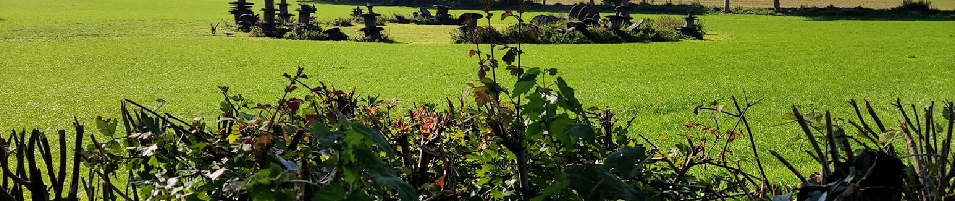 Tocht Stappen Bevekom - L’écluse : douce campagne Brabançonne  - Photo