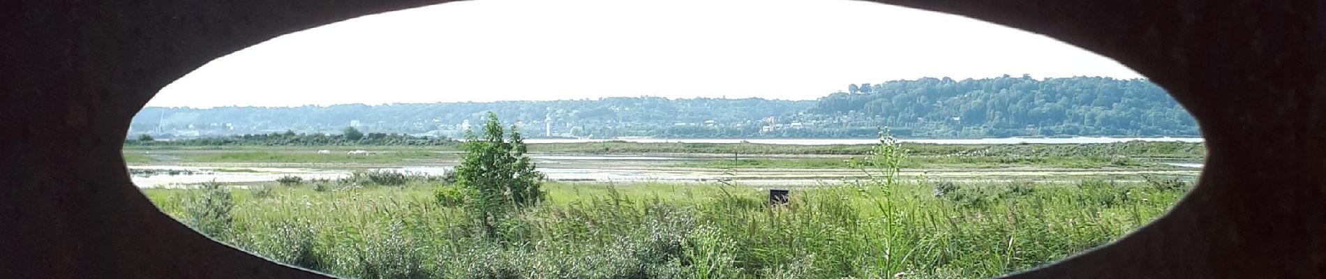 Randonnée Marche Oudalle - Le marais d'Amfard - Photo