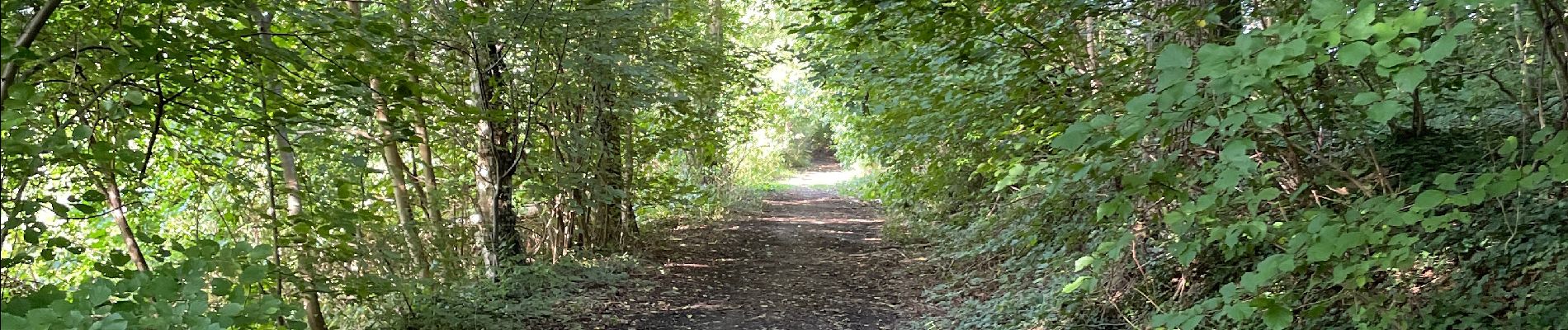 Tour Wandern Grez-Doiceau - Créa Doicaux incomplet - Photo