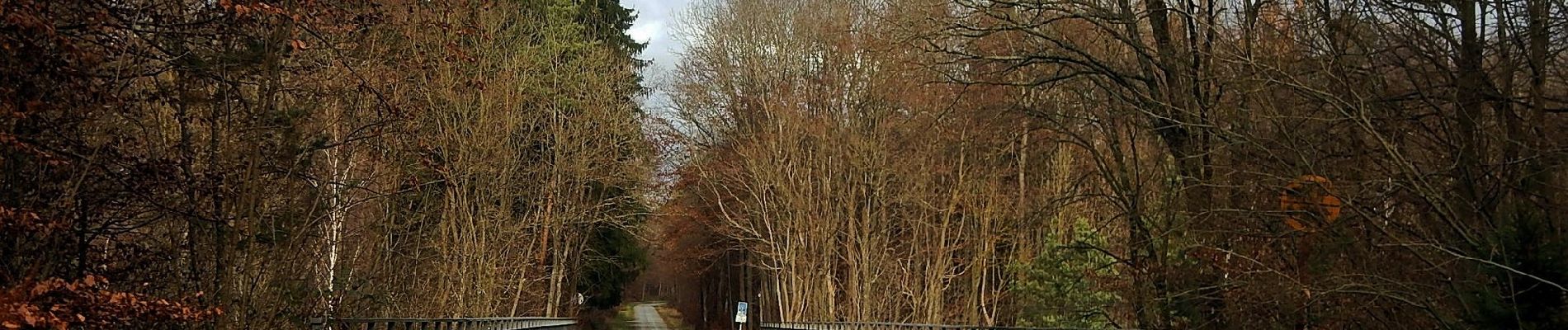 Tocht Te voet Sindelfingen - DE-SAV Roter Punkt, Musberg - Römer-/Panzerstraße - Photo