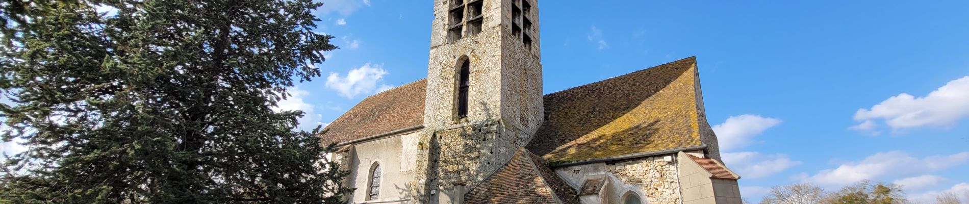 Tour Zu Fuß Mennecy - Boucle autour de Mennecy - Photo