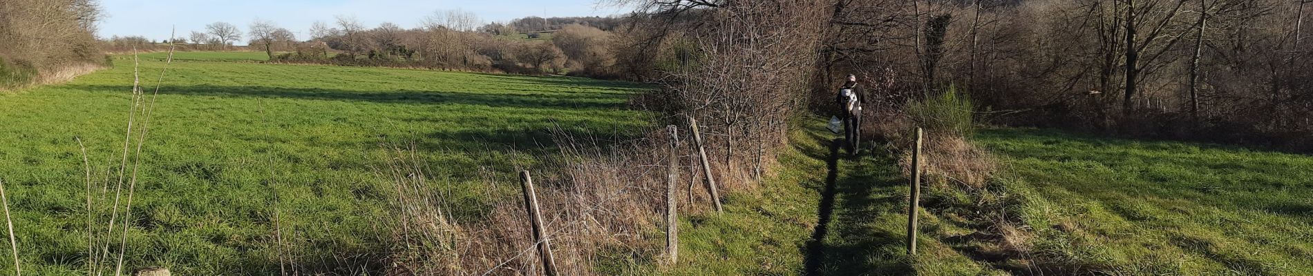 Tocht Stappen Ferrières - xhoris - Photo