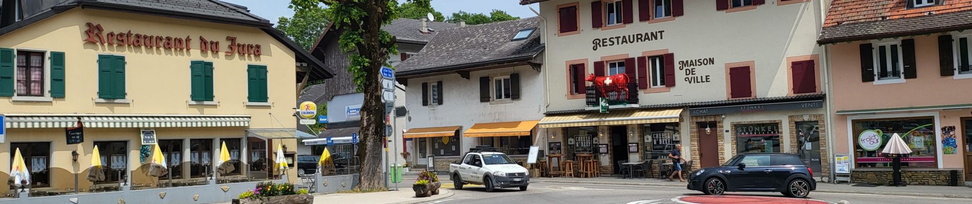 Tocht Fietstoerisme Mijoux - LES ROUSSES - COL DE LA FAUCILLE  - Photo