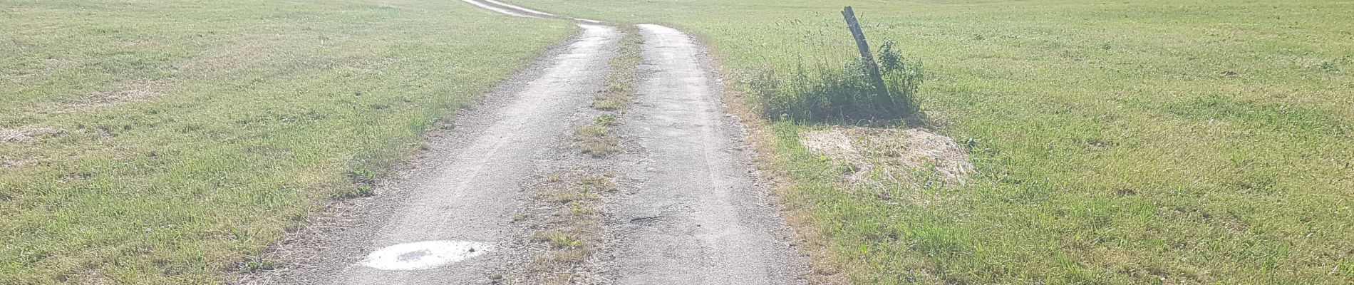 Excursión Senderismo La Cluse-et-Mijoux - la chapelle - les fours  - Photo