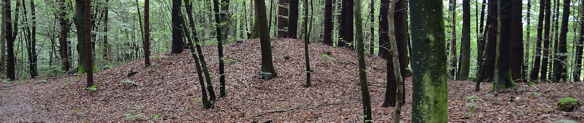 Trail On foot Großklein - Fürstengräberweg - Photo