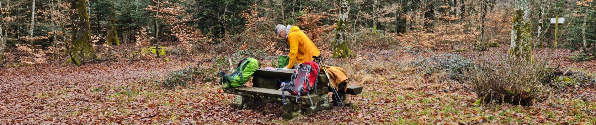 Tour Wandern Oberburnhaupt - Rando du 09/02/2024 par Alain...Pont d'Aspach - Photo