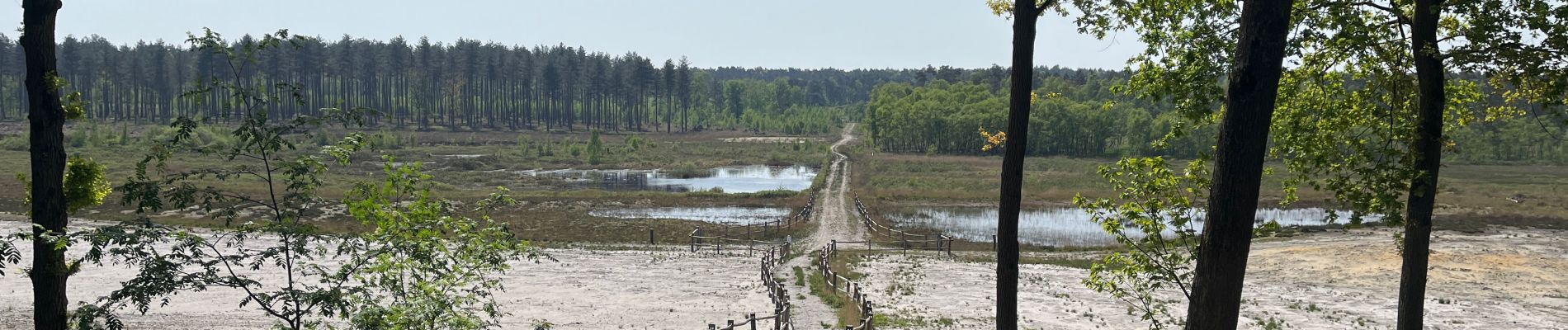 Tour  Houthalen-Helchteren - De vijvers - Photo