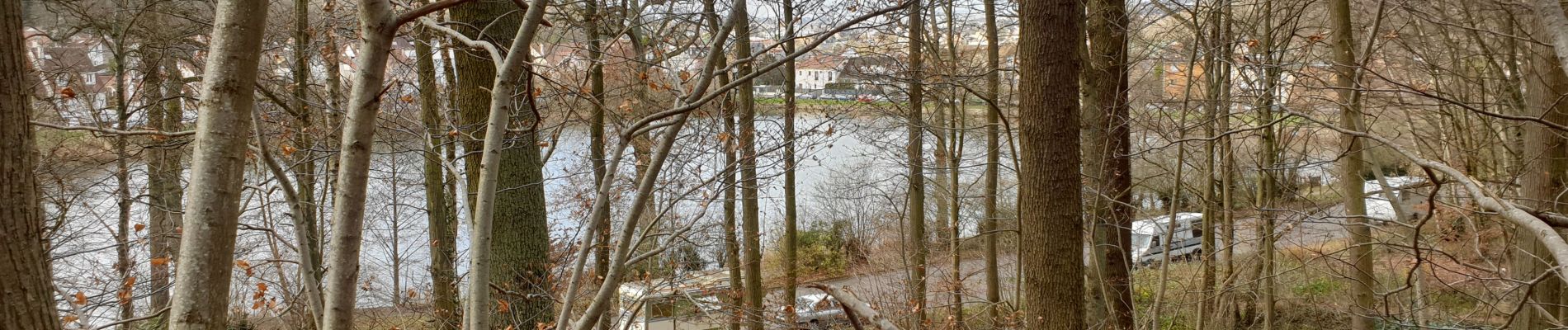 Randonnée V.T.T. Clamart - Le bois de clamart à VTT - Photo