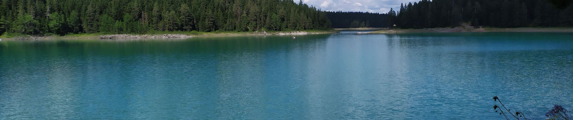 Trail Walking Unknown - lac Noir en famille - Photo